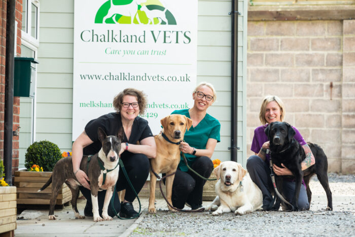  Three Months in Marvellous Melksham