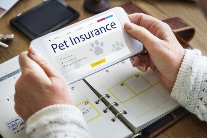 Pet Insurance Explained